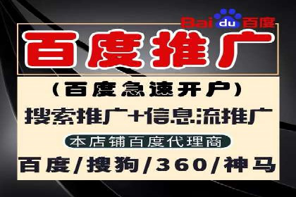 百度竞价：从入门到精通，快速实现盈利的案例集
